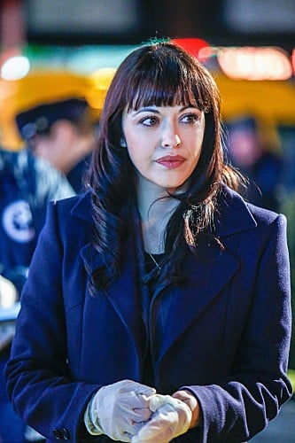 Blue Bloods (Familia de policías) : Foto Marisa Ramirez