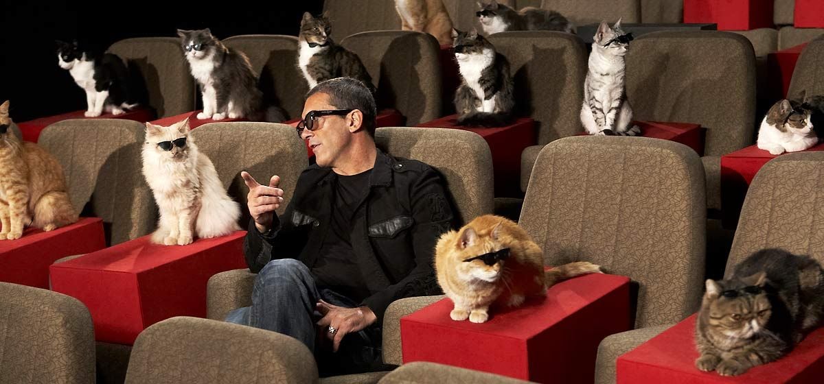 El gato con botas : Foto Antonio Banderas