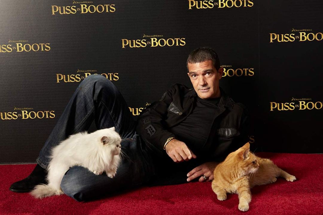 El gato con botas : Foto Antonio Banderas