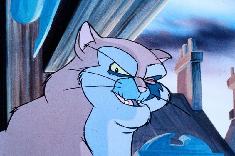 Francis el detectigato : Foto