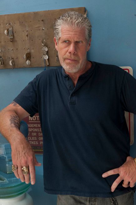 Hijos de la anarquía : Foto Ron Perlman