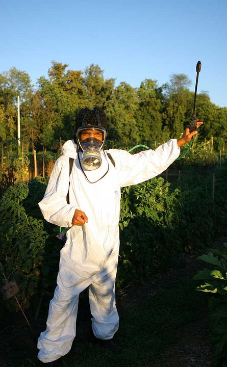 Diari : Foto Attilio Azzola, Amine Slimane