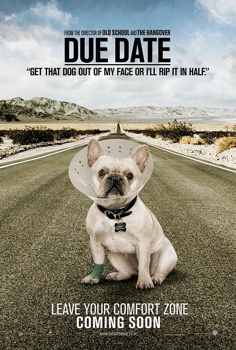 Salidos de cuentas : Cartel