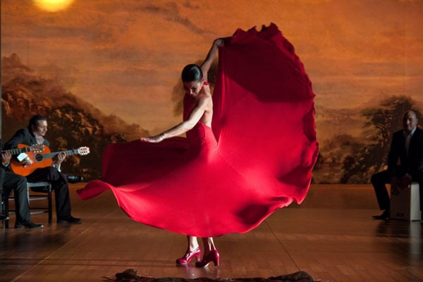 Flamenco, Flamenco : Foto