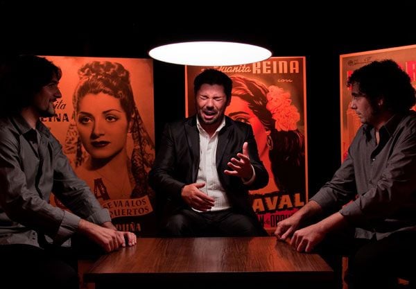 Flamenco, Flamenco : Foto