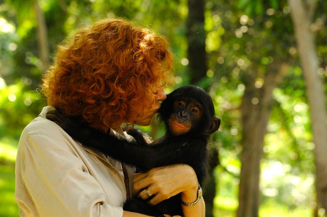 Bonobos : Foto Claudine André
