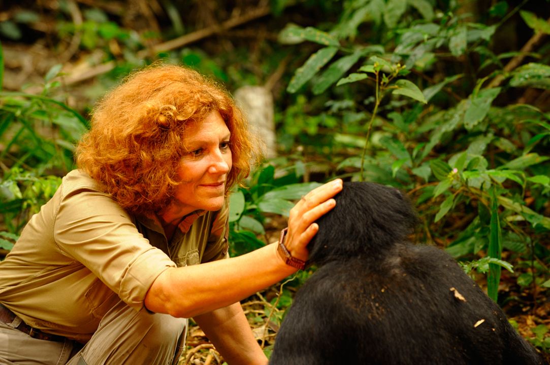 Bonobos : Foto Claudine André
