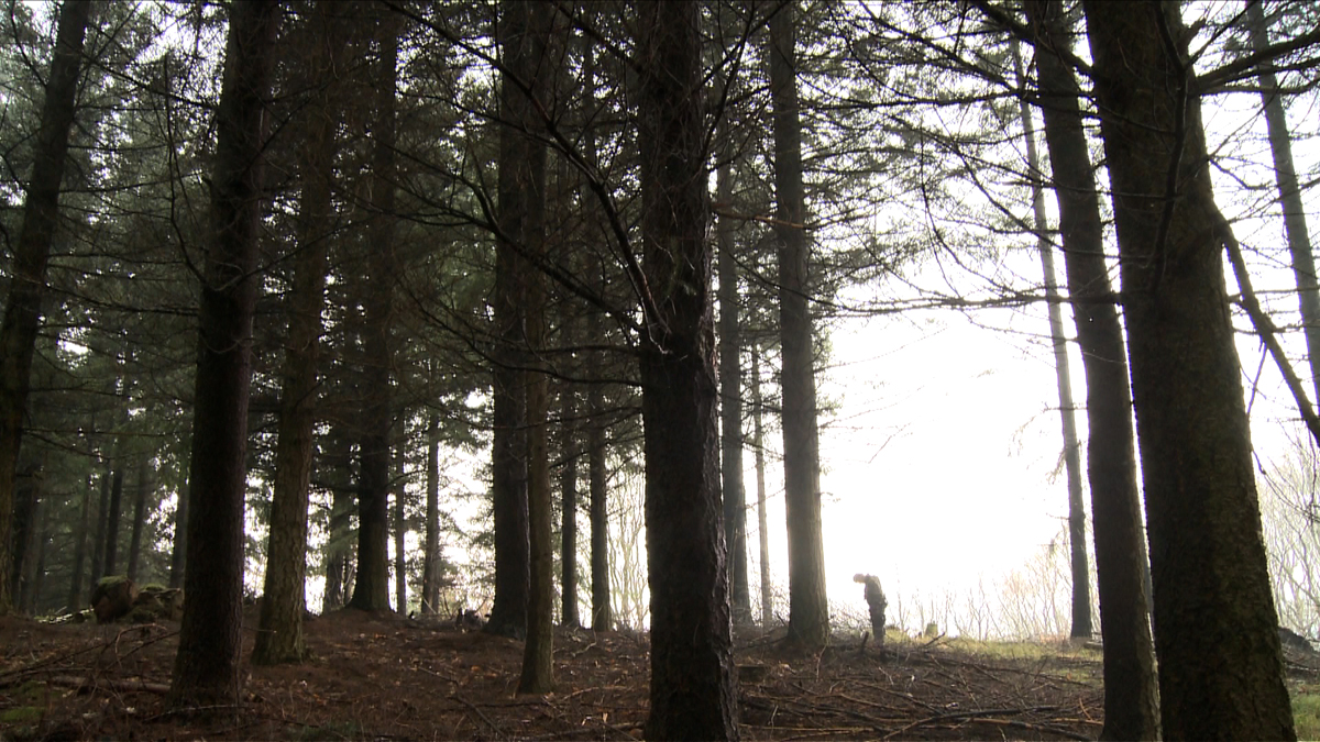 Chasse à l'homme : Foto