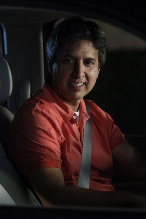 Men of a Certain Age : Foto Ray Romano