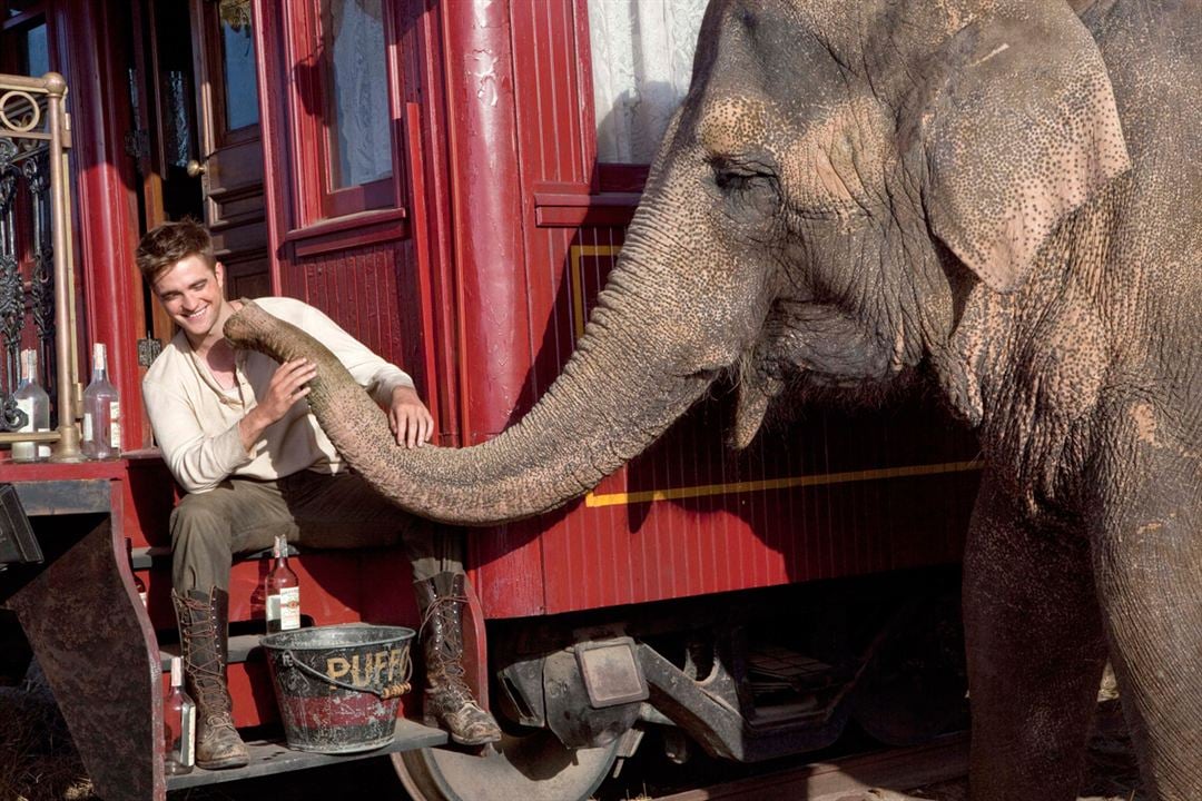 Agua para elefantes : Foto Robert Pattinson