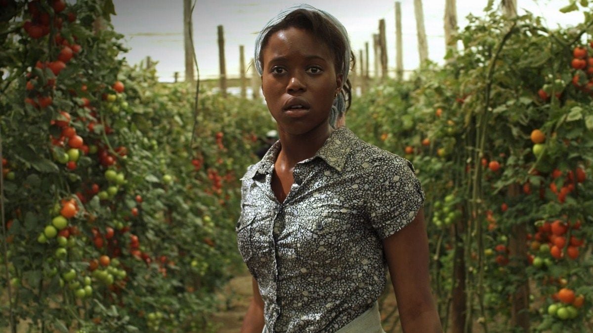 Black Brown White : Foto