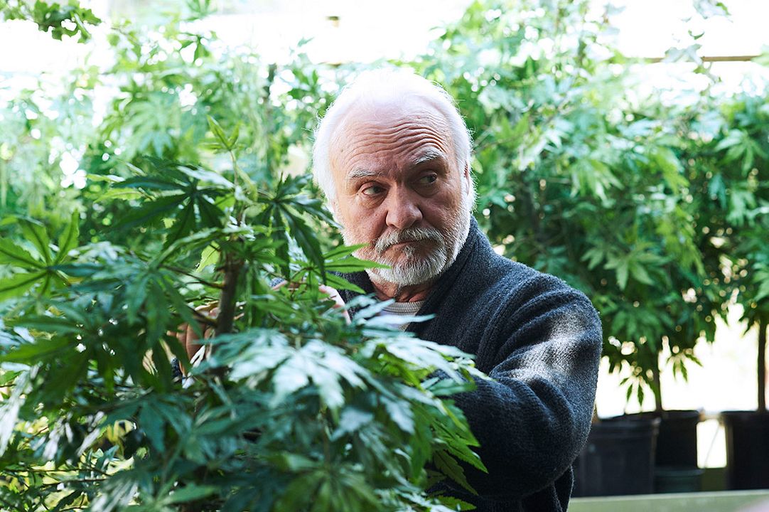 XIII : Foto Kenneth Welsh