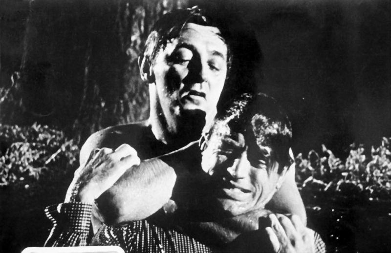 El cabo del terror : Foto Robert Mitchum, Gregory Peck