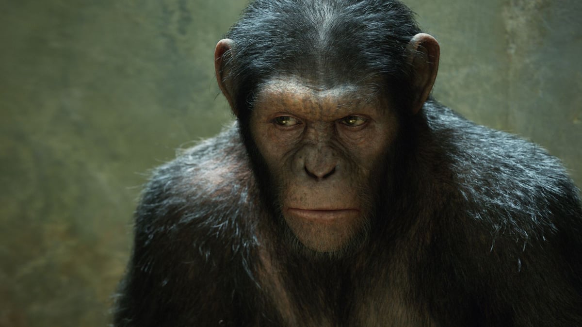El origen del planeta de los simios : Foto