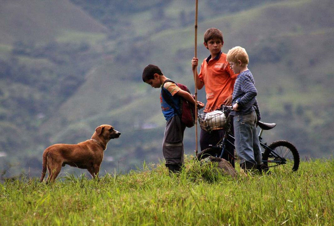 Los colores de la montaña : Foto