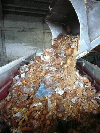 Taste the Waste : Foto