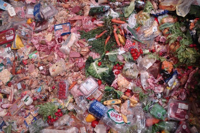 Taste the Waste : Foto