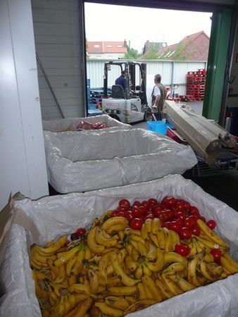 Taste the Waste : Foto