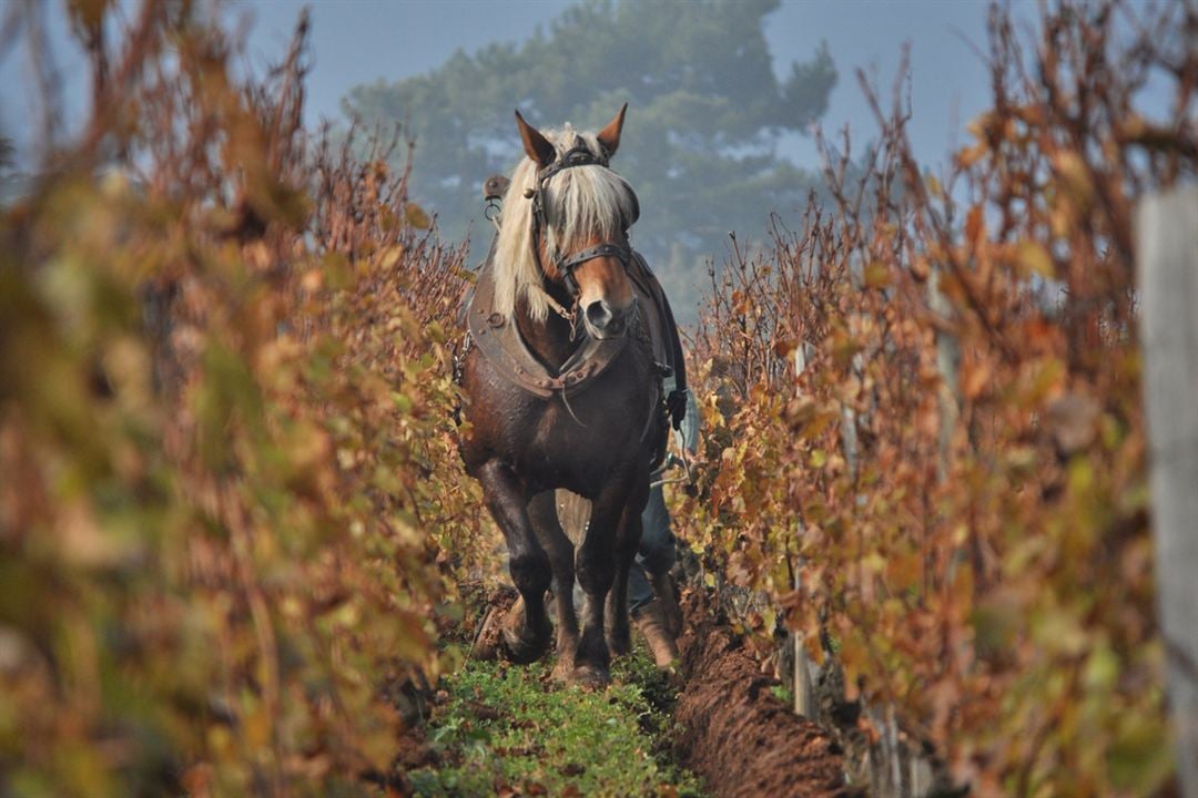 La Clef des Terroirs : Foto