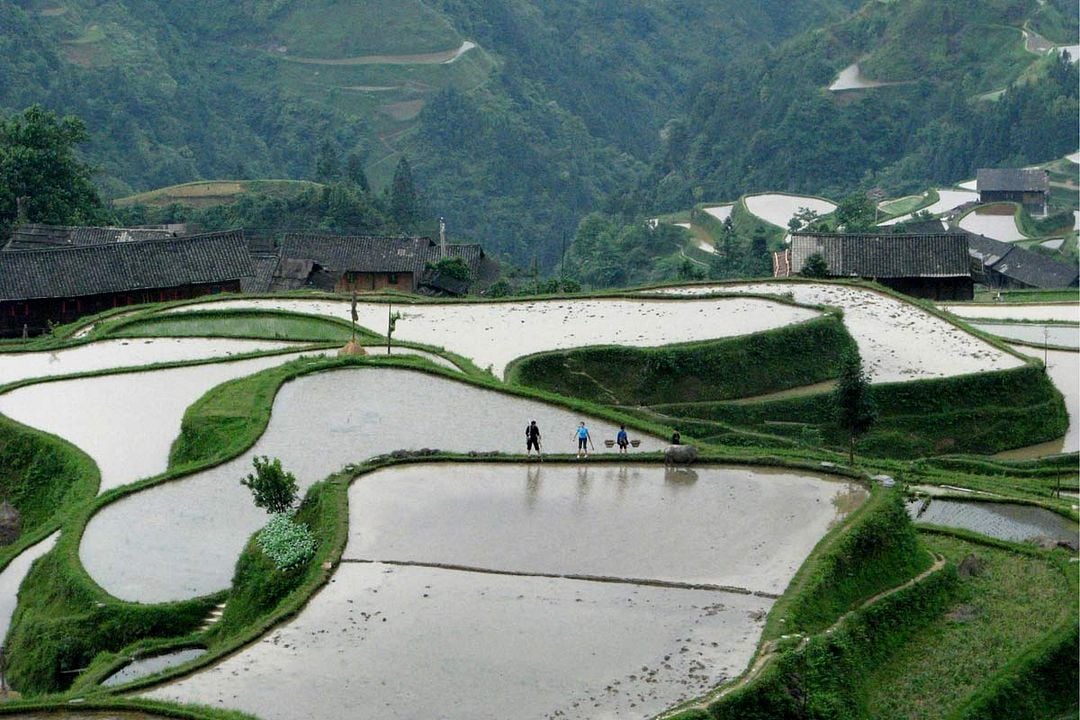 Si près du Soleil : Foto