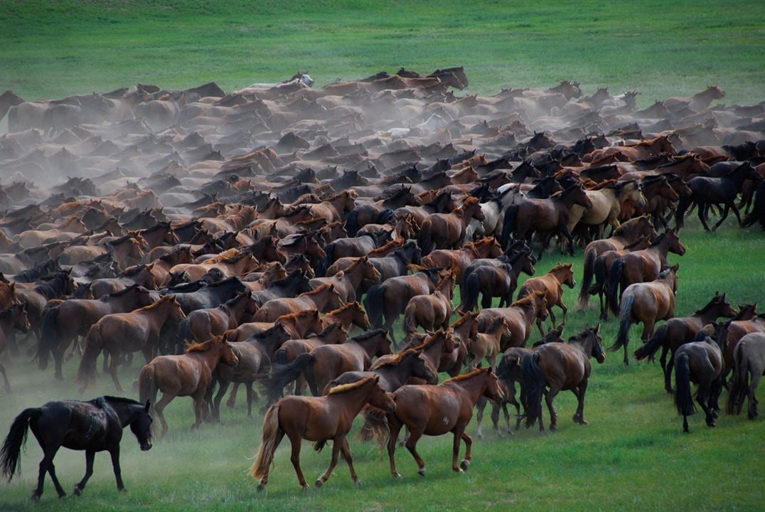 Los dos caballos de Genghis Khan : Foto Byambasuren Davaa