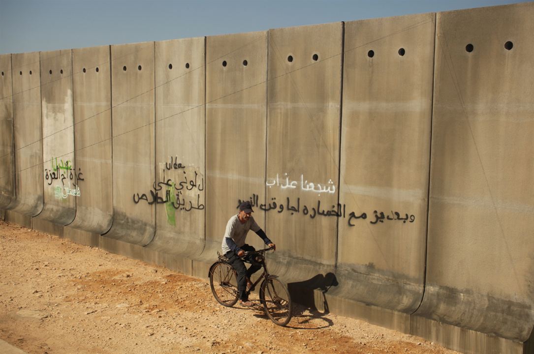Un cerdo en Gaza : Foto Sylvain Estibal