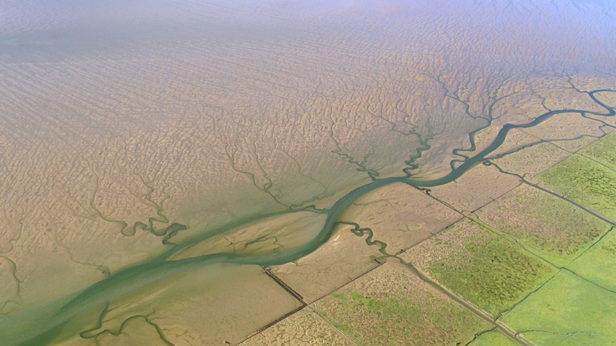 Die Nordsee von oben : Foto