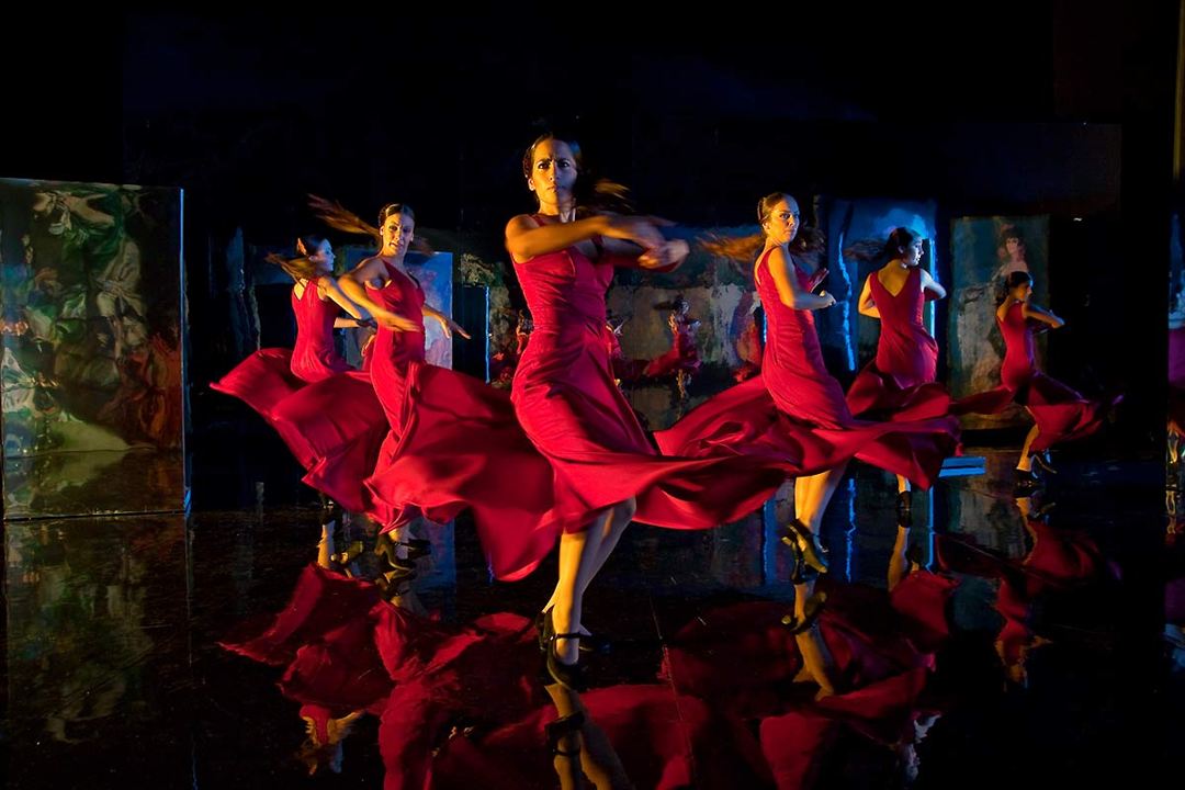 Flamenco, Flamenco : Foto
