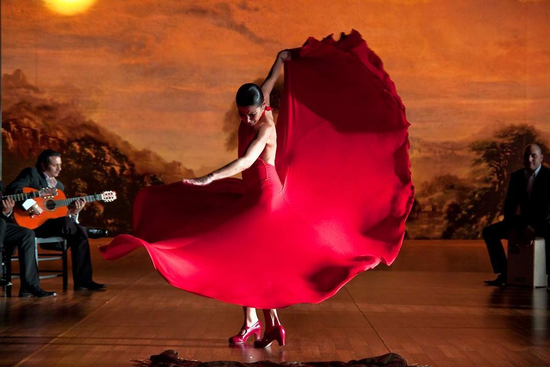 Flamenco, Flamenco : Foto
