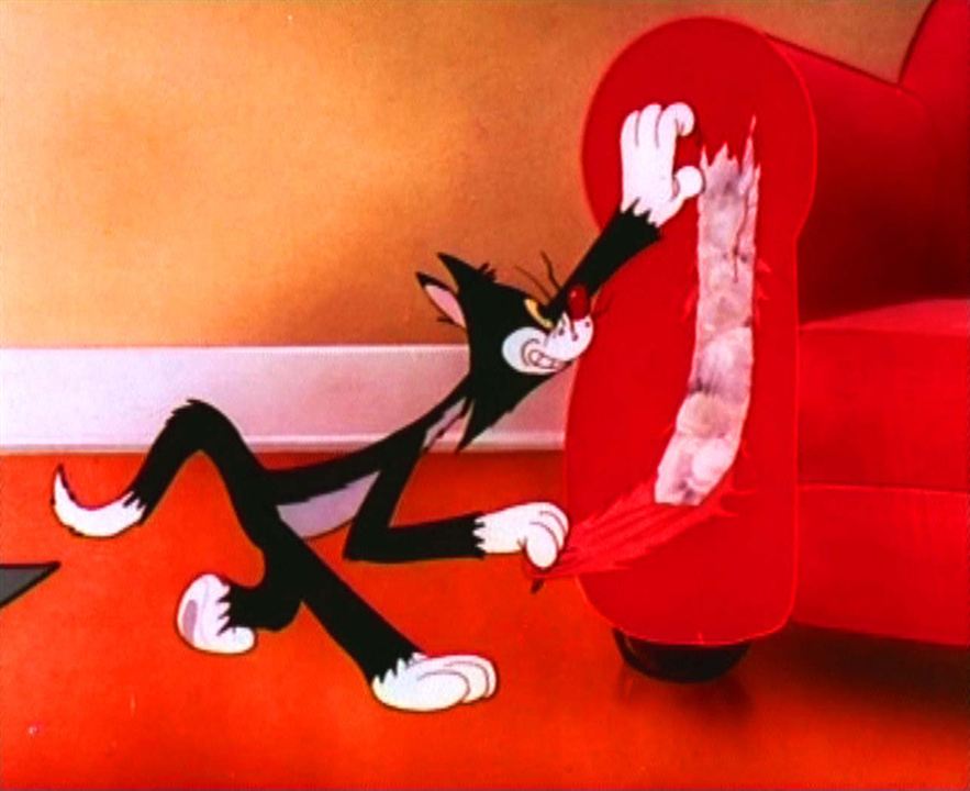 Tex Avery Cartoons n°2 : Foto