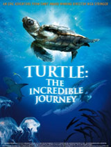 El viaje de la tortuga : Cartel