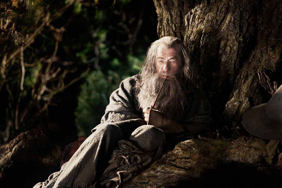 El Hobbit: Un viaje inesperado : Foto Ian McKellen