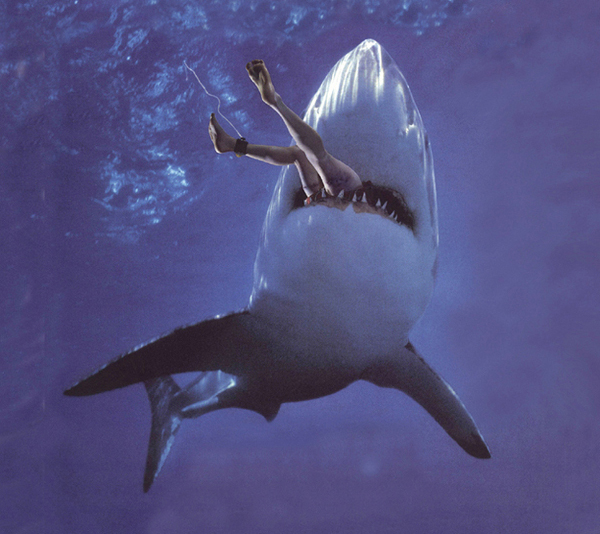 El tiburón del pantano : Foto