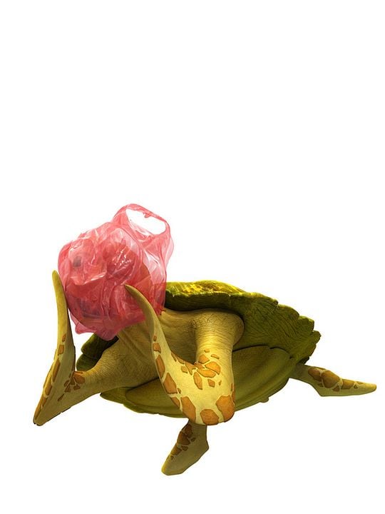 Un pez fuera del mar : Foto