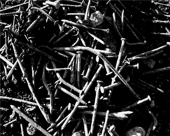 Qu'ils reposent en révolte : Foto