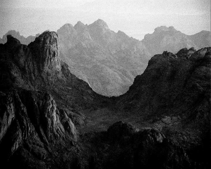 Qu'ils reposent en révolte : Foto