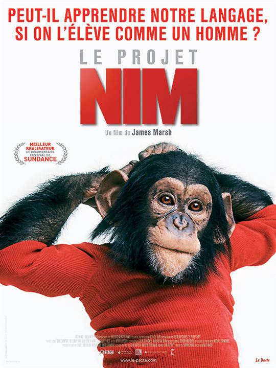 Proyecto Nim : Cartel