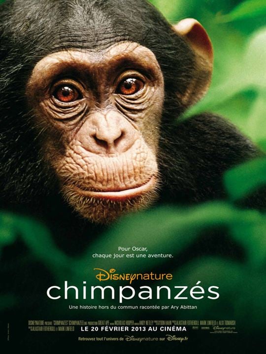 Chimpancés : Cartel
