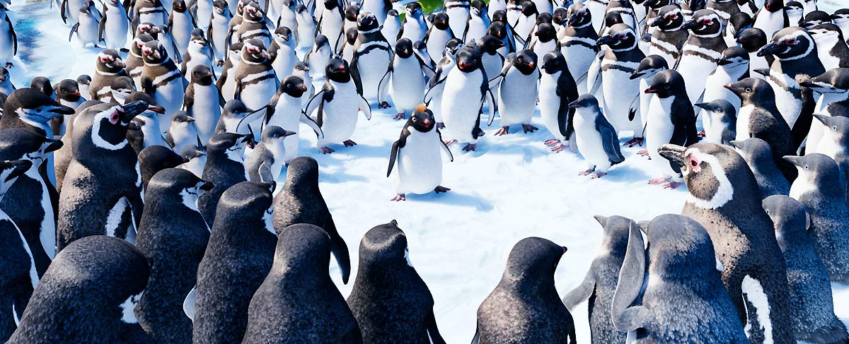 Happy Feet 2 : Foto