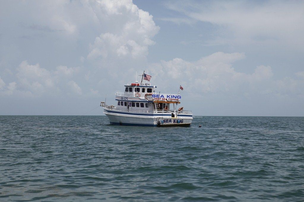 El ataque del tiburón de dos cabezas : Foto