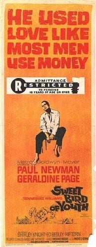 Dulce pájaro de juventud : Foto