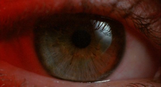El blanco del ojo : Foto