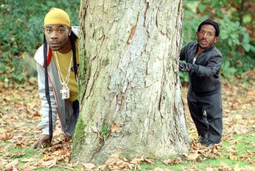 Pequeño pero matón : Foto