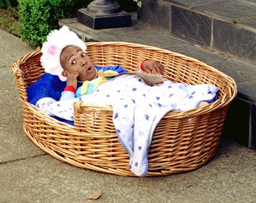 Pequeño pero matón : Foto