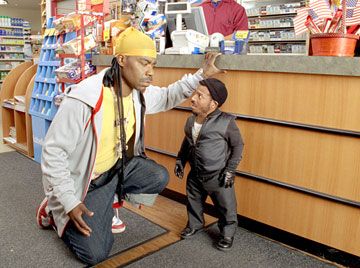 Pequeño pero matón : Foto