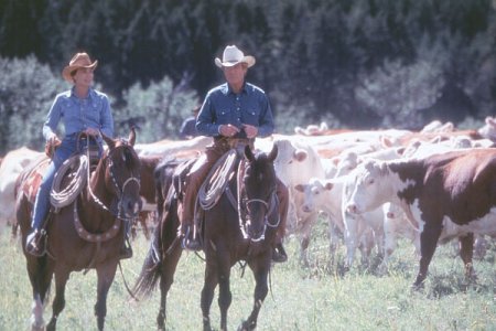 El hombre que susurraba a los caballos : Foto