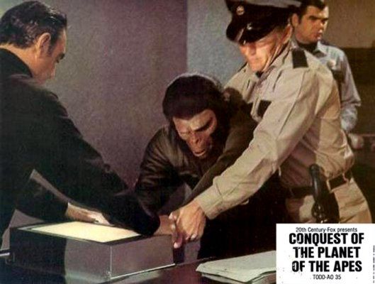 La rebelión de los simios : Foto