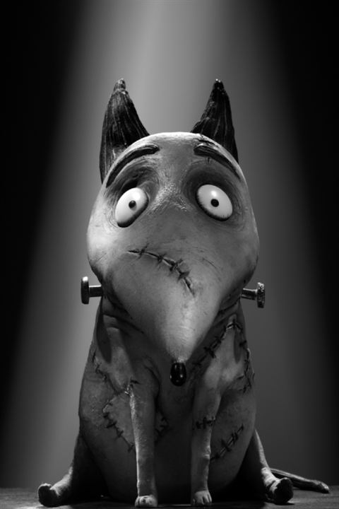 Frankenweenie : Foto