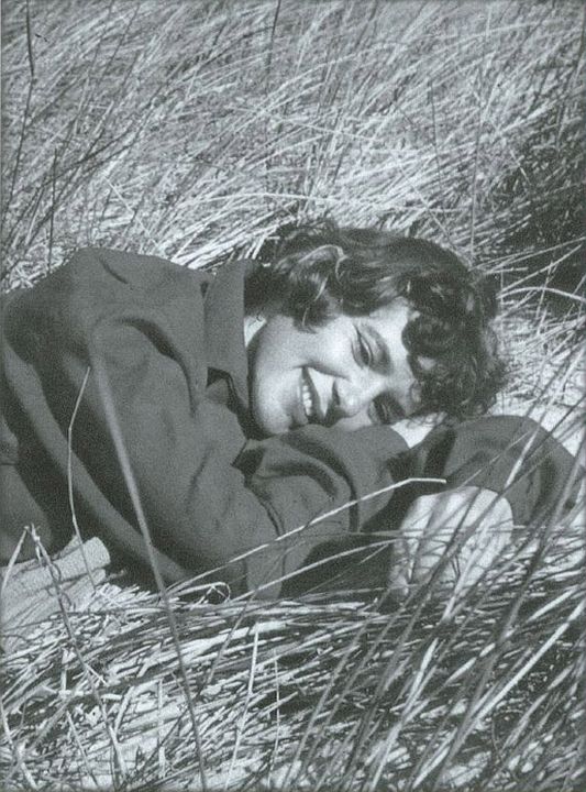 Black Butterflies : Foto