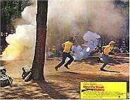 Bendice a los animales y a los niños : Foto